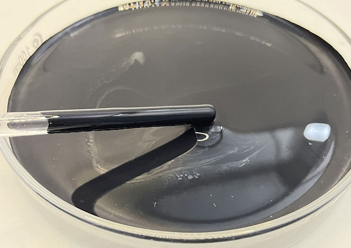 Carbon Nanotube (CNT) Conductive Dispersion