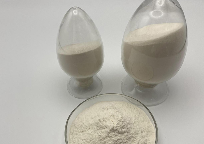 Hydroxyethyl Cellulose (HEC)