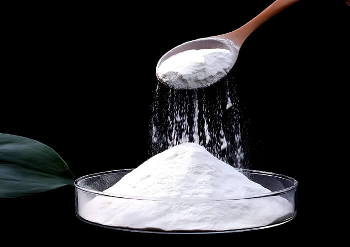 Hydroxypropyl Methylcellulose (HPMC)