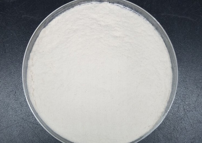 Hydroxypropyl Methylcellulose (HPMC)