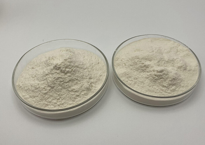 Hydroxypropyl Methylcellulose (HPMC)